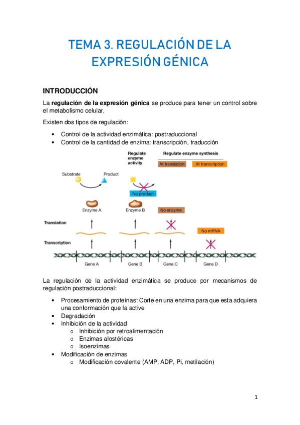 Miniatura del documento TEMA-3.pdf