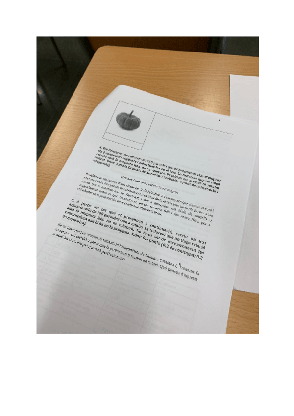 Miniatura del documento EXAMEN.pdf