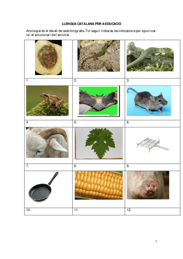 Miniatura del documento practicalexic02solucionari.pdf