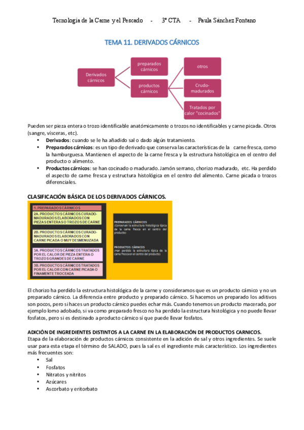 Miniatura del documento CARNE-p2.pdf
