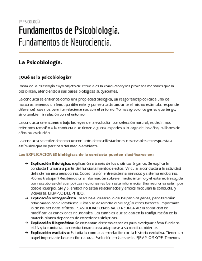 Miniatura del documento T1.pdf