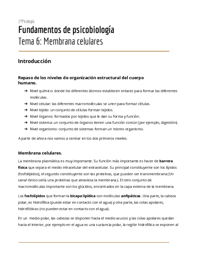 Miniatura del documento T6.pdf