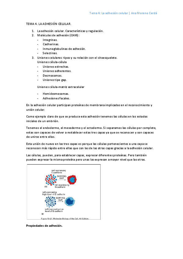 Miniatura del documento 4.pdf
