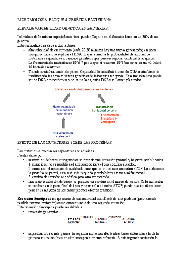 Miniatura del documento BLOQUE-4-APUNTES.pdf