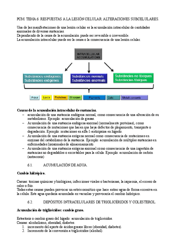 Miniatura del documento Tema-6.pdf