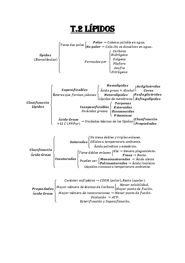 Miniatura del documento Esquema-Tema-2-Lipidos.pdf