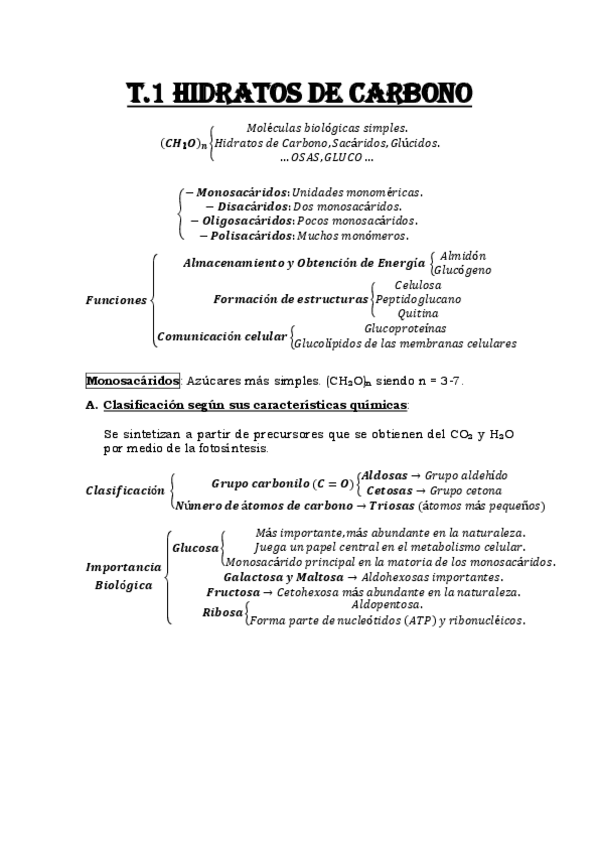 Miniatura del documento Esquema-Tema-1-Hidratos-de-Carbono.pdf