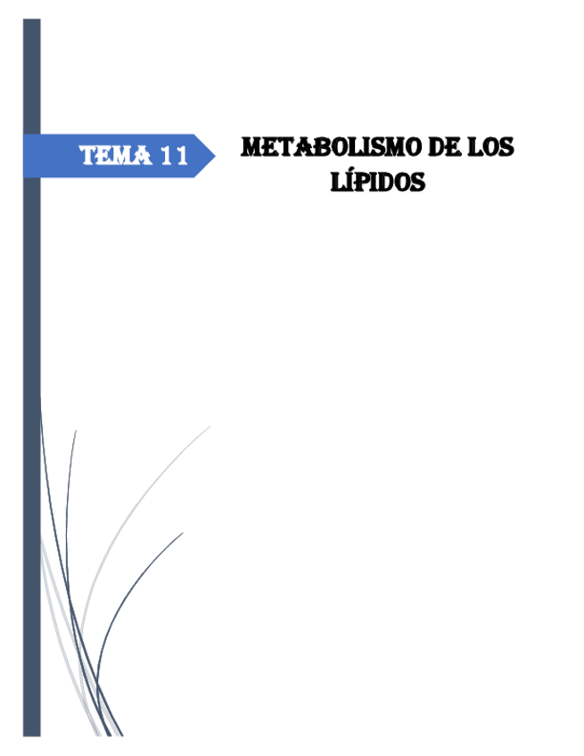 Miniatura del documento Resumen-Tema-11-Metabolismo-de-los-lipidos.pdf