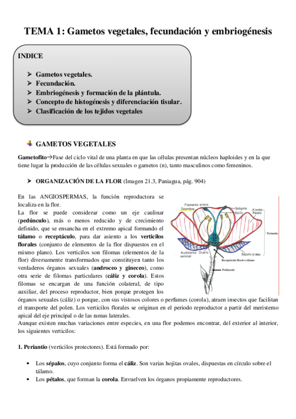 Miniatura del documento TEMA 1.pdf