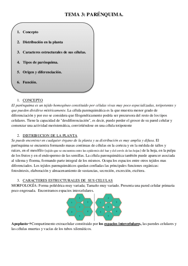 Miniatura del documento TEMA 3.PARENQUIMA.pdf