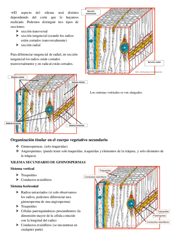 Miniatura del documento TEMA 5.1.pdf