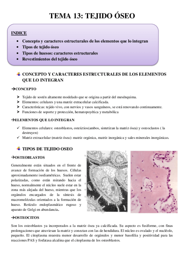 Miniatura del documento TEMA 13(completo).pdf
