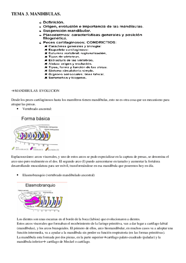 Miniatura del documento TEMA 3.pdf
