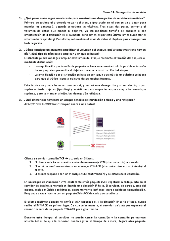 Miniatura del documento Tema-11Denegaciones-de-servicio.pdf