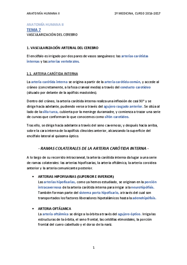 Miniatura del documento TEMA 7 - VASCULARIZACIÓN DEL CEREBRO.pdf