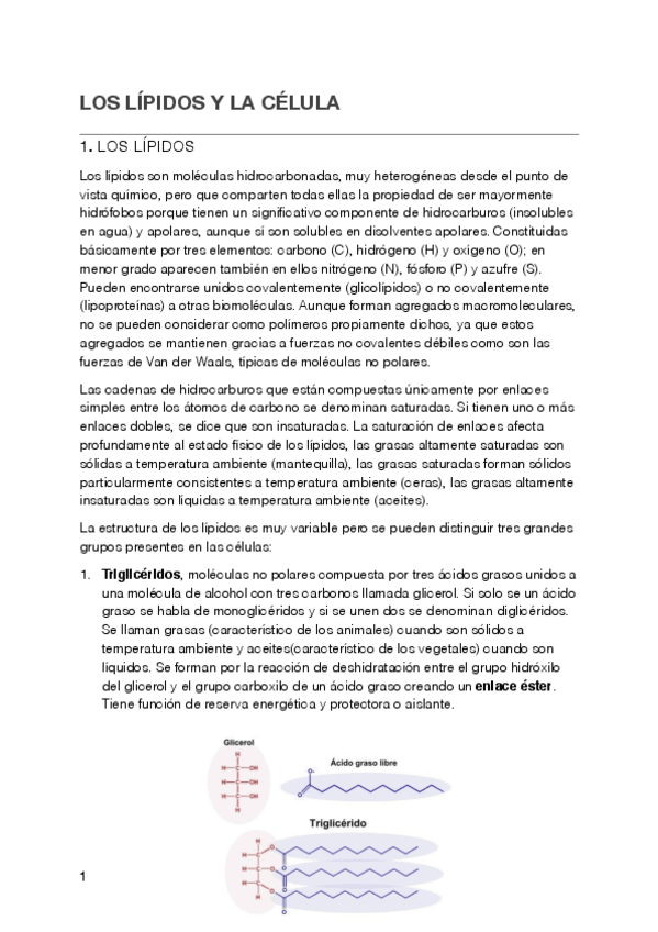Miniatura del documento 3.pdf