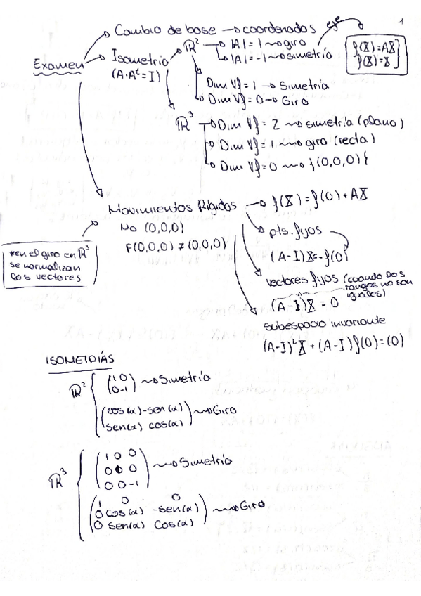 Miniatura del documento Documenttt.pdf