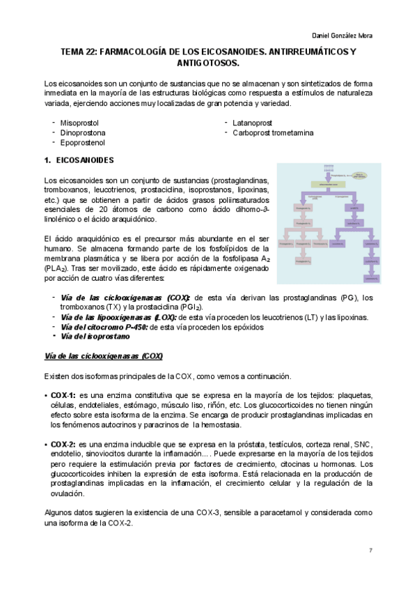 Miniatura del documento EICOSANOIDES.pdf