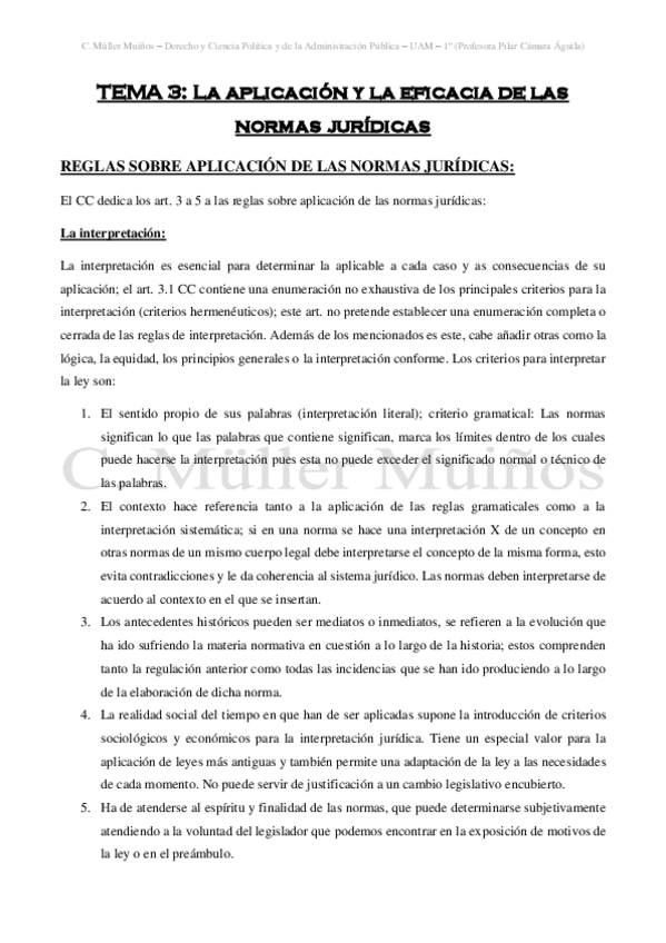 Miniatura del documento TEMA-III-La-aplicacion-y-la-eficacia-de-las-normas-juridicas.pdf