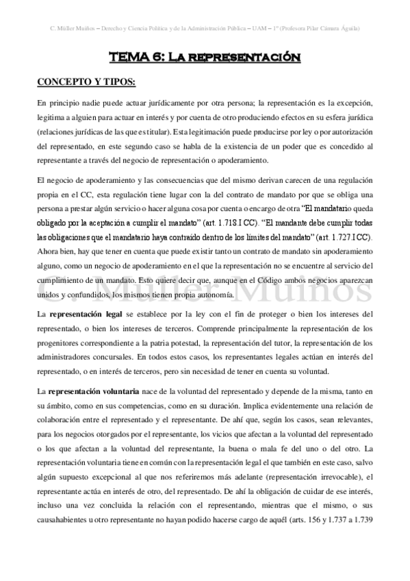 Miniatura del documento TEMA-VI-La-representacion.pdf
