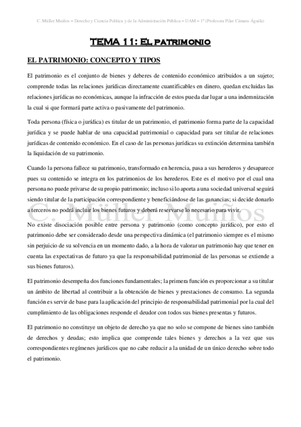 Miniatura del documento TEMA-XI-El-patrimonio.pdf