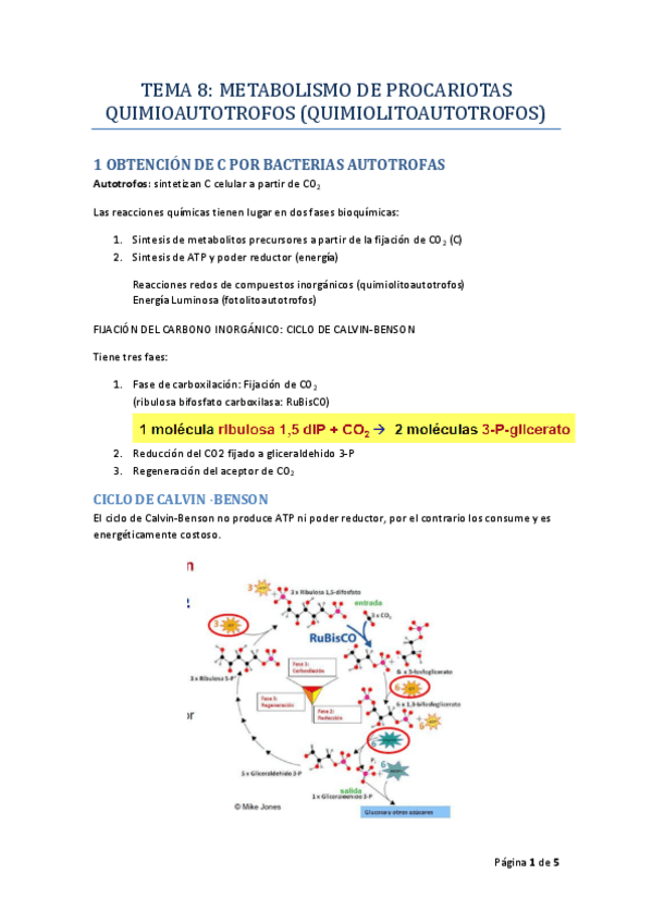 Miniatura del documento TEMA_08_MICRO_I_RODELAS.pdf