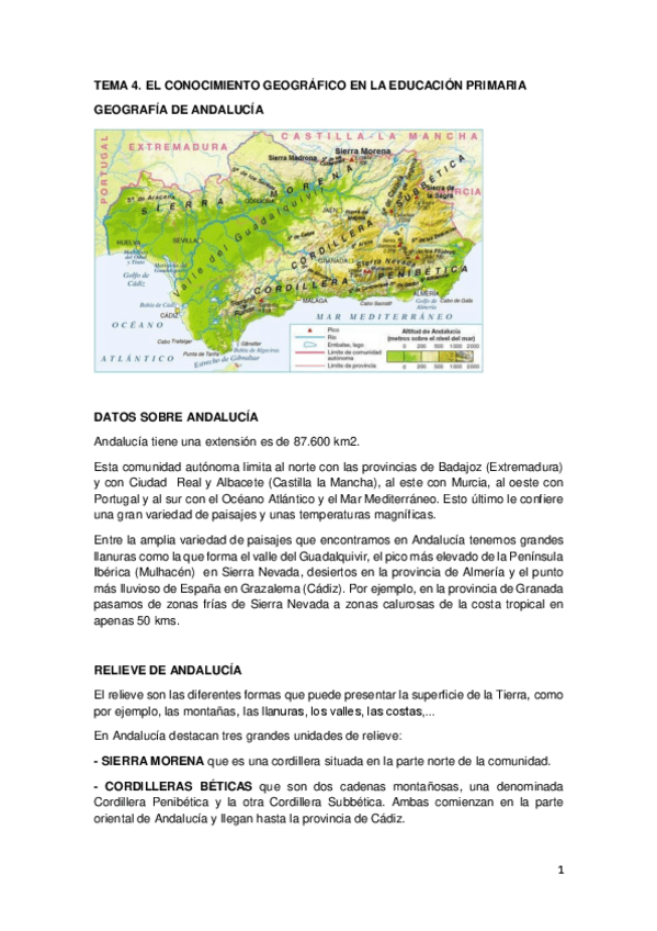 Miniatura del documento Temas-4-y-5.pdf
