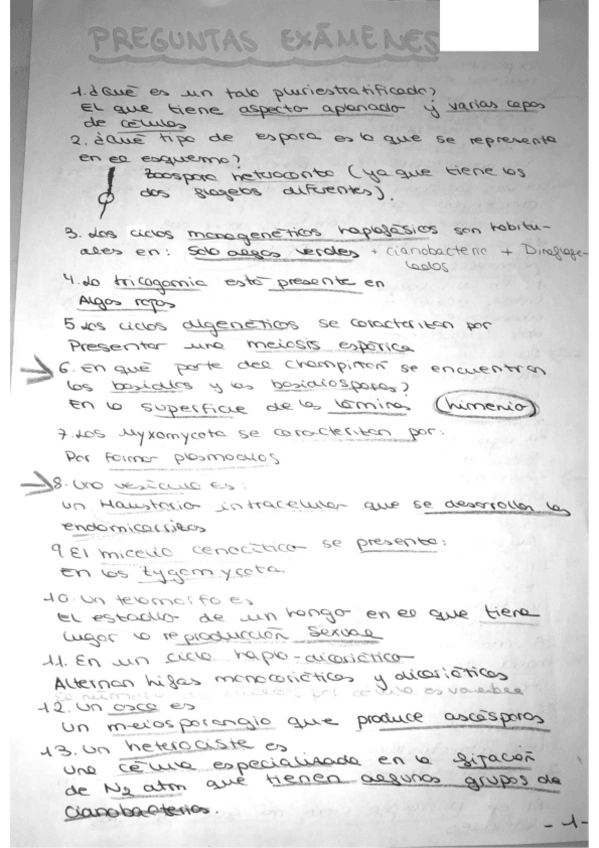 Miniatura del documento preguntas-botanica.pdf