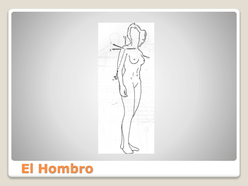 Miniatura del documento MusculaturaHombro-1.pdf