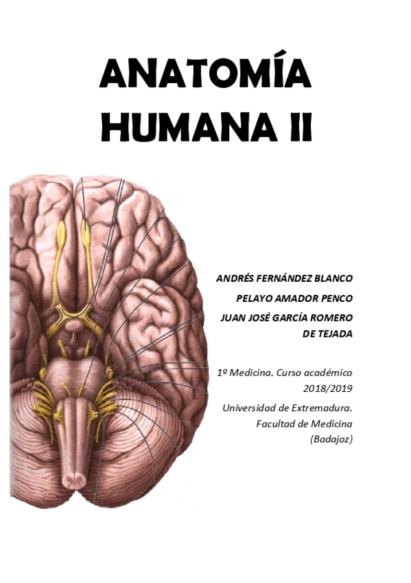 Miniatura del documento TEMA-1.pdf