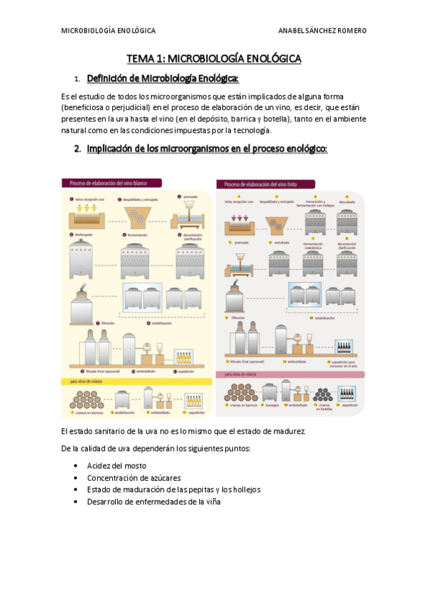 Miniatura del documento RESUMEN-TEMA-1.pdf