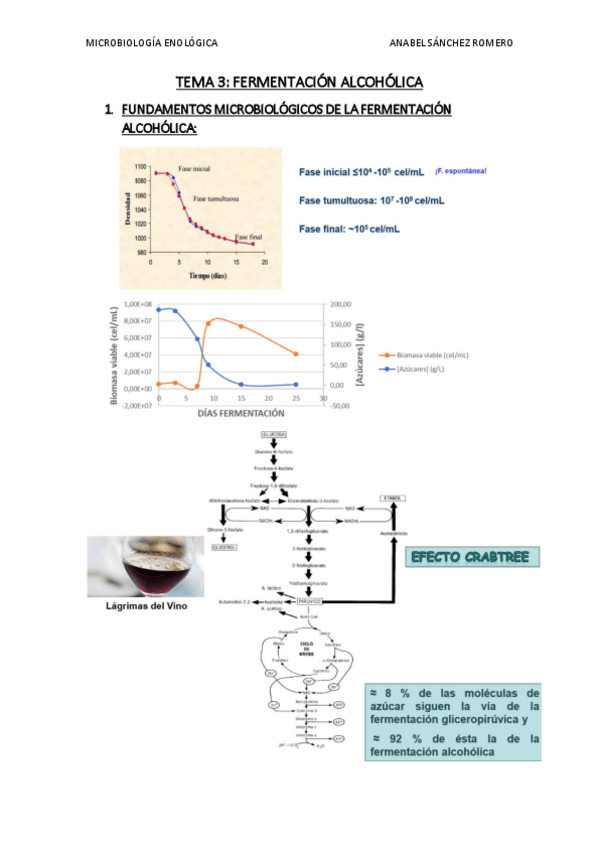 Miniatura del documento RESUMEN-TEMA-3.pdf