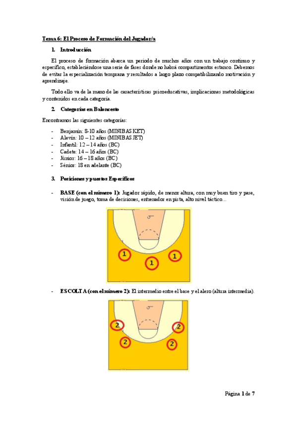 Miniatura del documento TEMA-6-BASKET.pdf