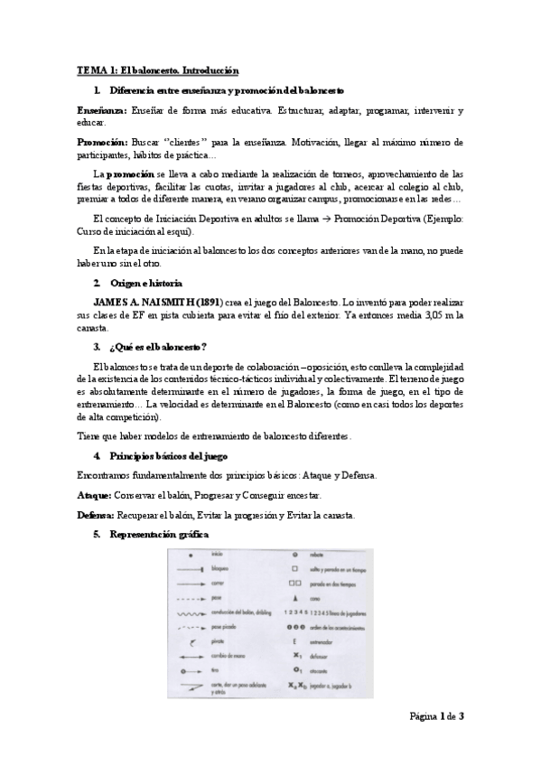 Miniatura del documento TEMA-1-BASKET.pdf