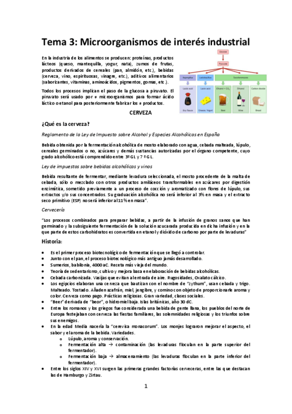 Miniatura del documento Tema 3.pdf