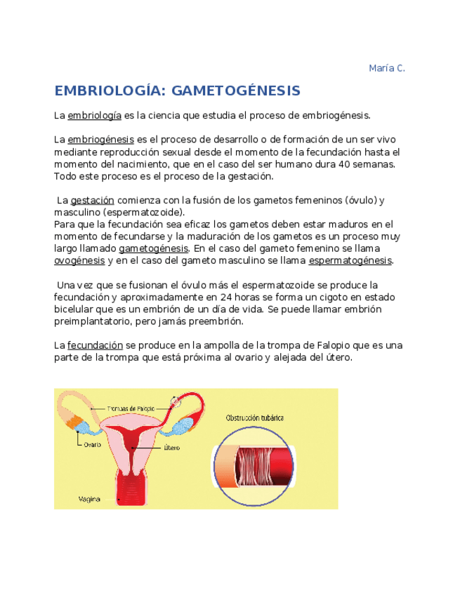 Miniatura del documento EMBRIOLOGIA-E-HISTOLOGIA.docx