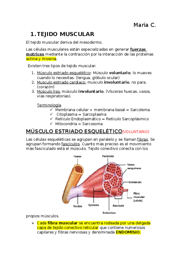 Miniatura del documento 9.docx