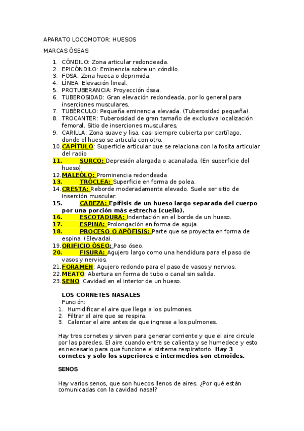 Miniatura del documento 13.docx