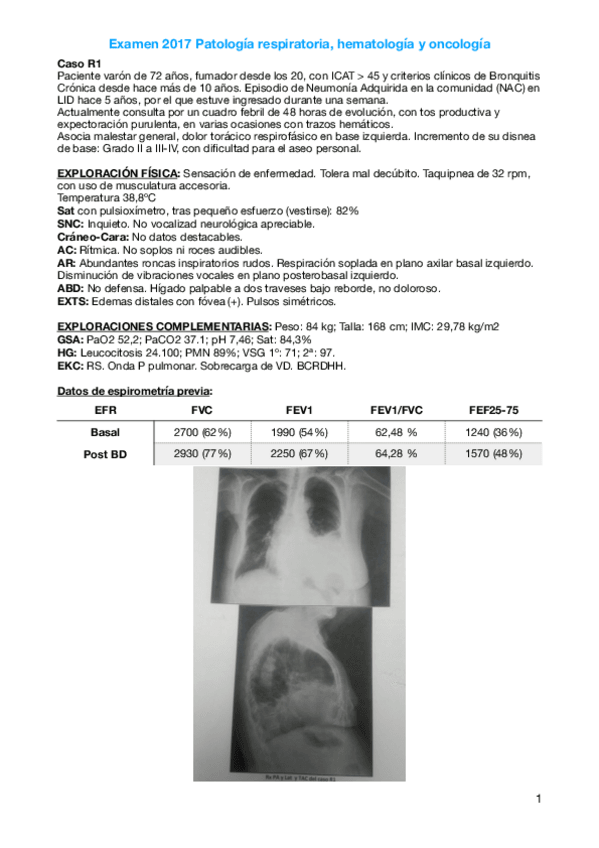 Miniatura del documento 2017.pdf