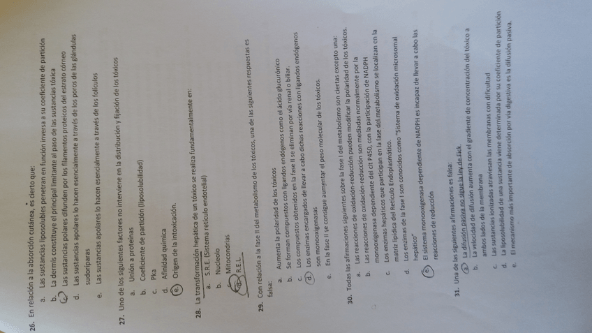 Miniatura del documento wuolah-free-20170628125058.jpg