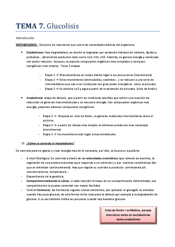 Miniatura del documento TEMA-7-BIOQUIMICA.pdf