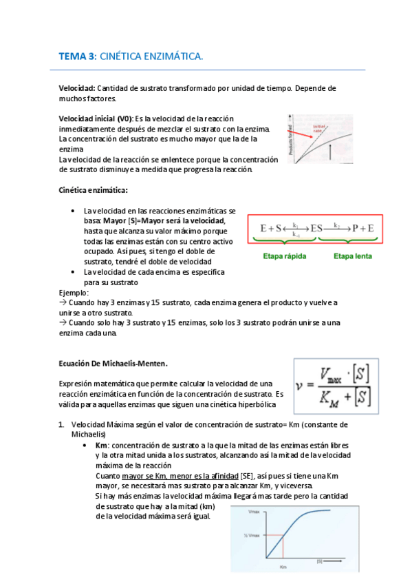 Miniatura del documento TEMA-3-BIOQUIMICA.pdf