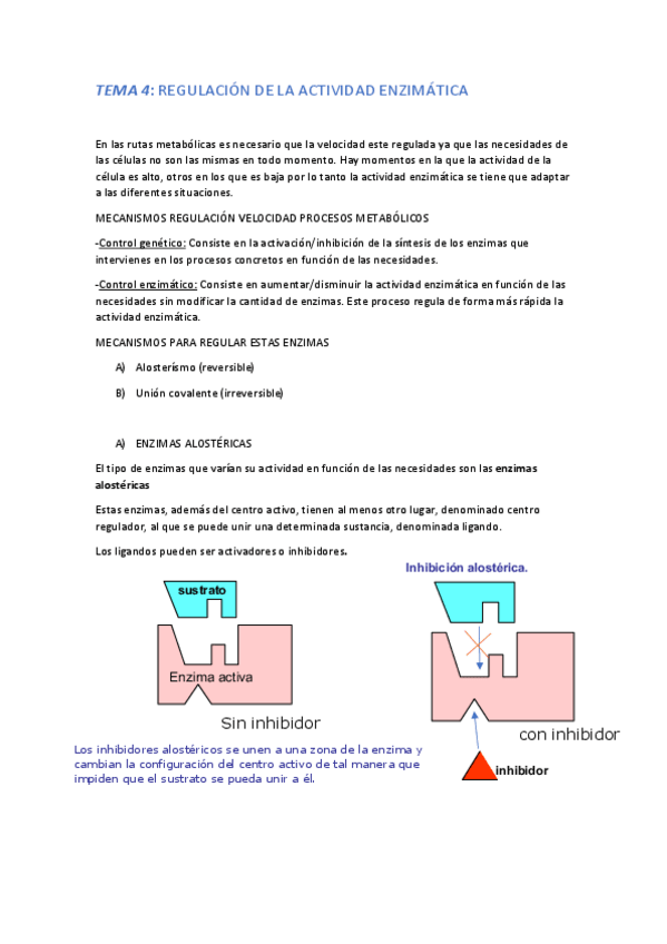 Miniatura del documento TEMA-4-BIOQUIMICA.pdf