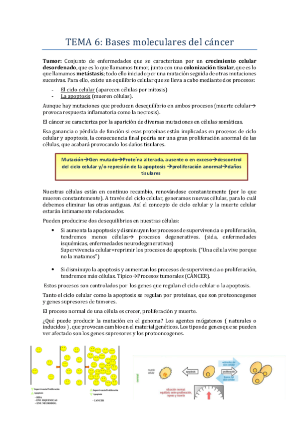 Miniatura del documento TEMA-6-BIOQUIMICA.pdf