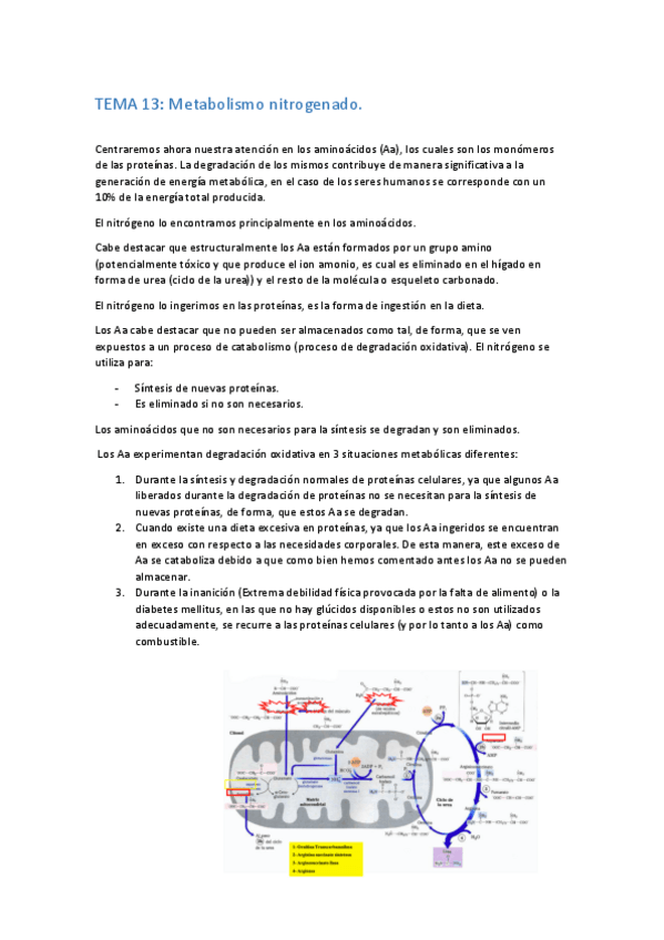 Miniatura del documento TEMA-13-BIOQUIMICA.pdf