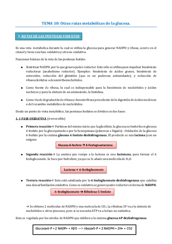 Miniatura del documento TEMA-10-BIOQUIMICA.pdf