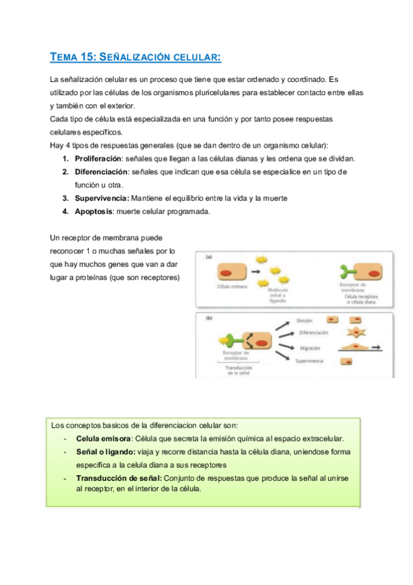 Miniatura del documento TEMA-15-BIOQUIMICA.pdf