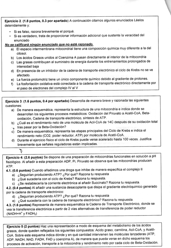 Miniatura del documento 2o-Parcial-Bioquimica-parte-2.jpg