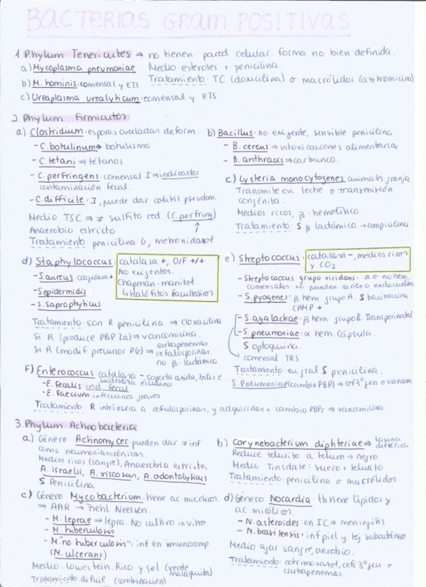 Miniatura del documento bacterias-gram-positivas.pdf