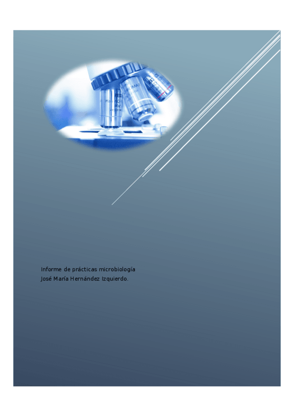 Miniatura del documento Informe-de-practicas.docx